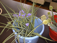 �����T�L�c���N�T